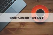 法桐胸径,法桐胸径一年生长多少
