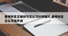 垂柳拼音正确拼写怎么写的呀图片,垂柳拼音怎么写带声调