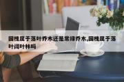 国槐属于落叶乔木还是常绿乔木,国槐属于落叶阔叶林吗