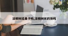 法桐树结果子吗,法桐树长的快吗