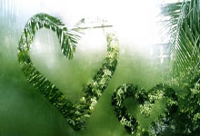 湖边垂柳的唯美句子，湖边垂柳的唯美句子图片