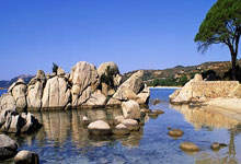 湖边垂柳的唯美句子，湖边垂柳的唯美句子图片