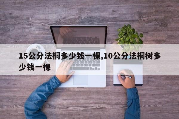 15公分法桐多少钱一棵,10公分法桐树多少钱一棵