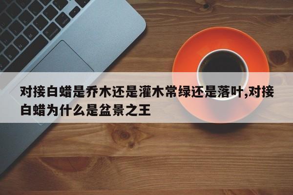 对接白蜡是乔木还是灌木常绿还是落叶,对接白蜡为什么是盆景之王